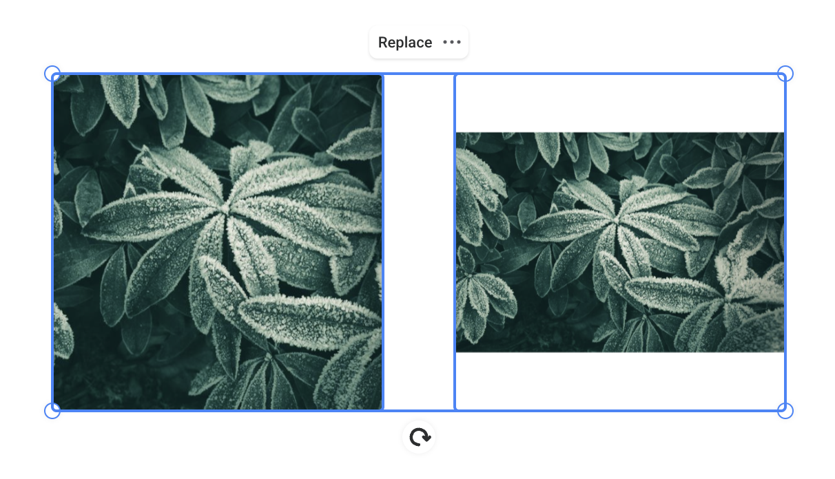 A comparison of Fill Frame and Fit to Frame in the Easil editor