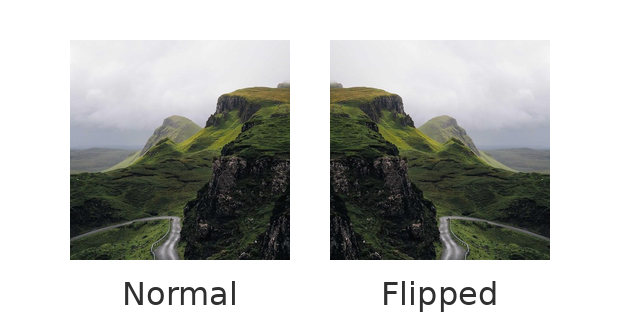 A normal image beside a flipped copy in Easil