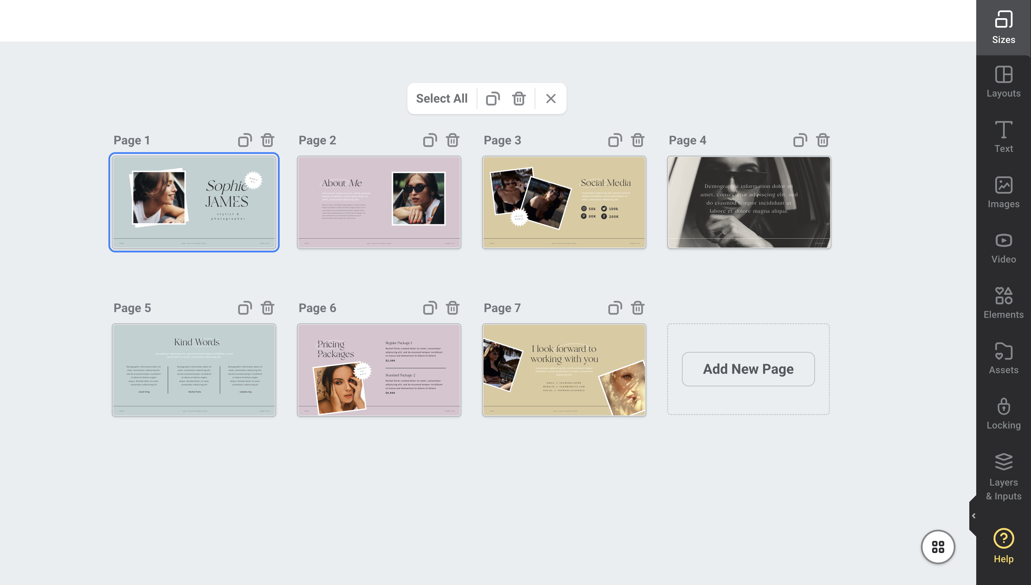 Page View showing page thumbnails in a presentation design